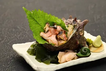 旬の貝刺し